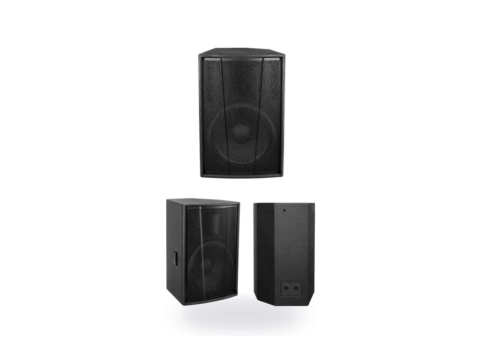 F15+ professional audio product